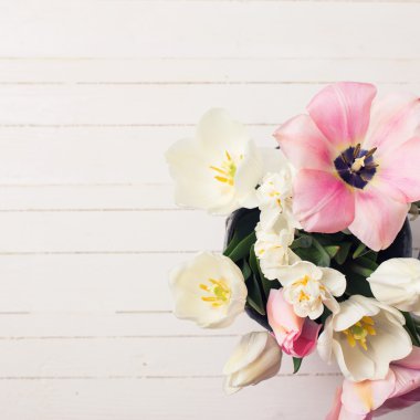 Arka plan ile taze Lale ve Nergis çiçek