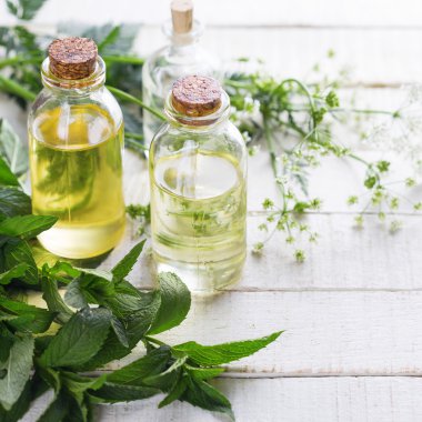 temel aroma yağı 
