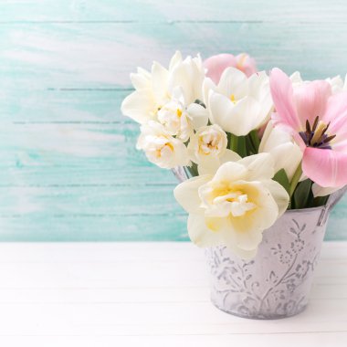 Arka plan ile taze Lale çiçek