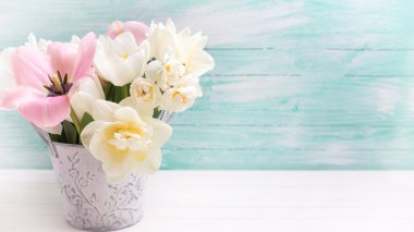 Arka plan ile taze Lale çiçek