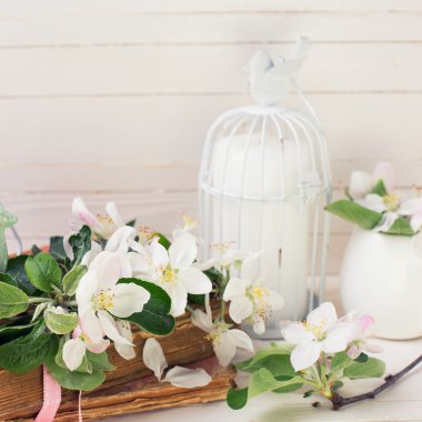 Kartpostal ile elma çiçeği ve kuş kafesi