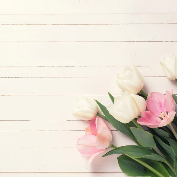 Fundo com flores de tulipa — Fotografia de Stock