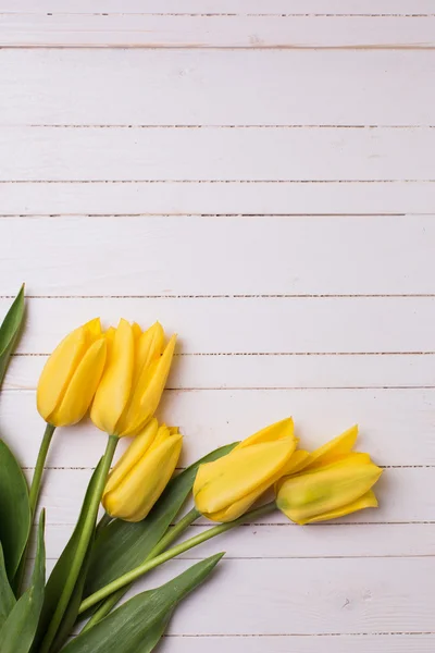 Hintergrund mit frischen Tulpen — Stockfoto