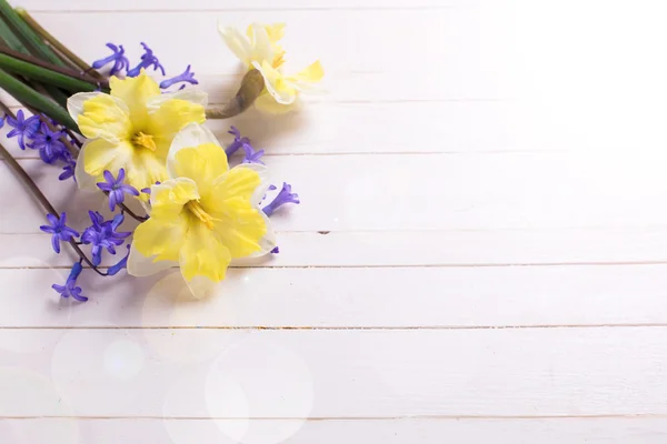 Gele en blauwe bloemen op houten achtergrond — Stockfoto