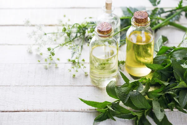 Väsentliga aromaolja — Stockfoto