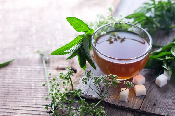 Xícara de chá de ervas frescas — Fotografia de Stock