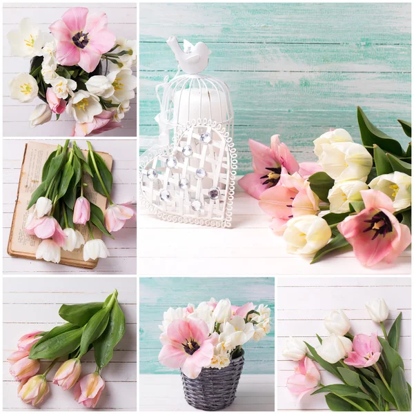 Frische Tulpen- und Narzissenblüten — Stockfoto