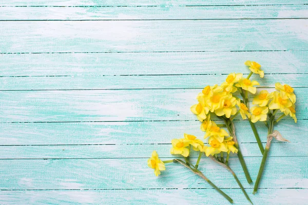Background with fresh  yellow narcissus — Stock Photo, Image