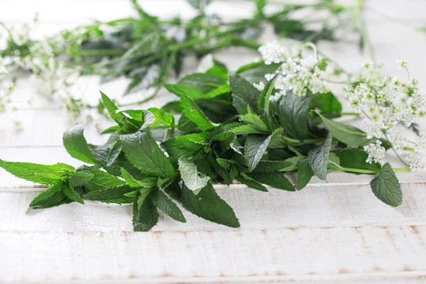 Leaves of fresh mint — Stock Photo, Image