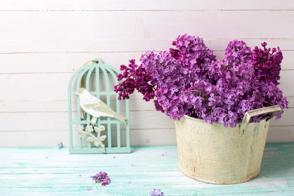 紫丁香花的背景 — 图库照片