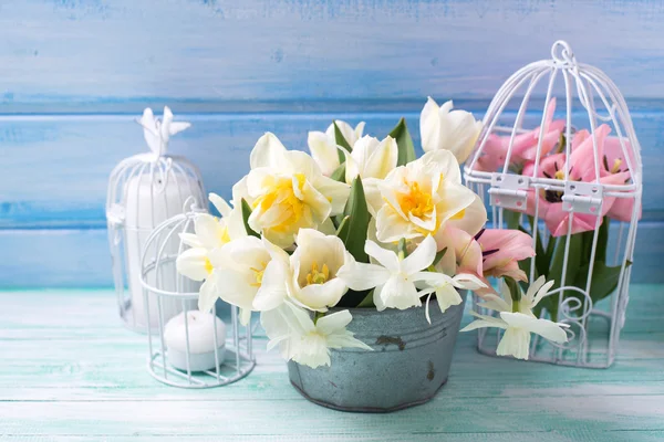 Bakgrund med färska narcisser och tulpaner — Stockfoto