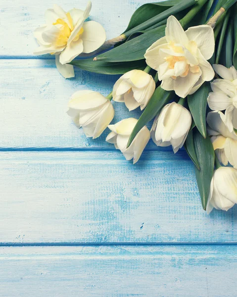 Ansichtkaart met verse bloemen van narcissen en tulpen — Stockfoto