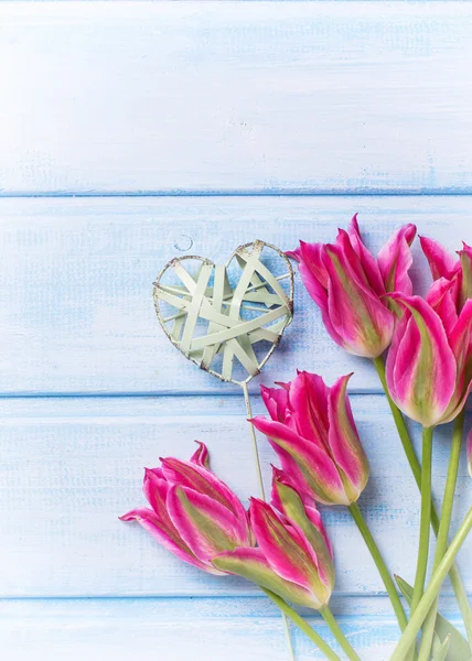 Tło z świeżego jasne różowe tulipany — Zdjęcie stockowe