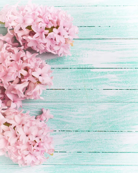 Background with fresh flowers hyacinths — Stock Photo, Image