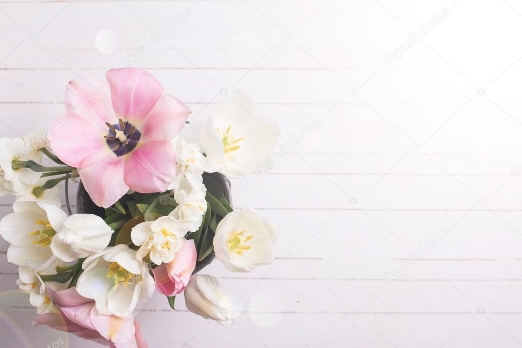 Background with fresh  tulip  and narcissus flowers