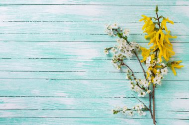 çiçekli ağaç dalları