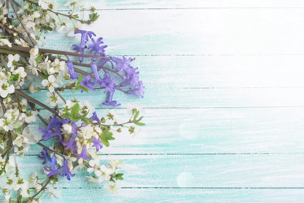 Flowering tree branches and blue flowers — Stock Photo, Image