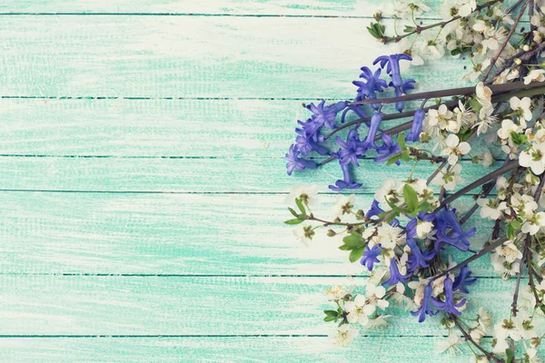 Ανθοφόρα κλαδιά δέντρων και μπλε λουλούδια — Φωτογραφία Αρχείου