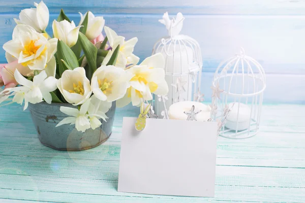 Fondo con narcisos frescos y tulipanes en cubo — Foto de Stock