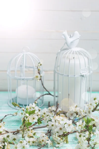 Flowering tree branches and bird cages — Stock Photo, Image