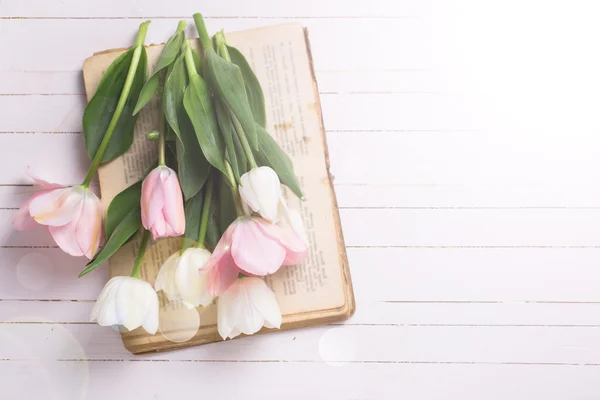 Bakgrunn med friske tulipanblomster – stockfoto