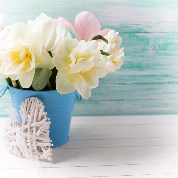 Pozadí s čerstvými květinami Narcis a tulipány — Stock fotografie