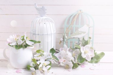 Kartpostal ile elma çiçeği