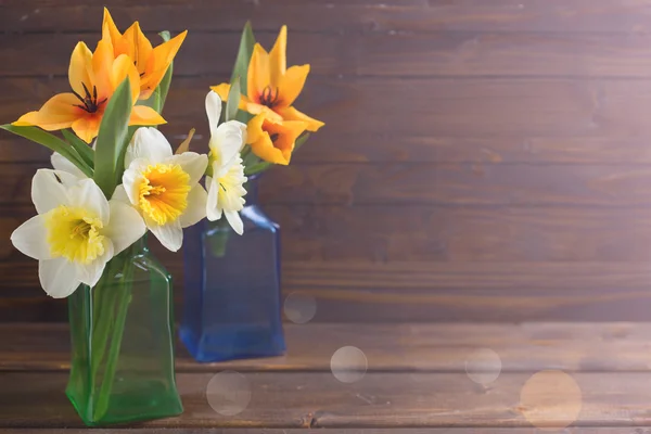 Fondo con narcisos frescos y tulipanes — Foto de Stock