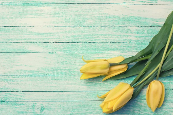 Fond avec des tulipes jaunes fraîches — Photo