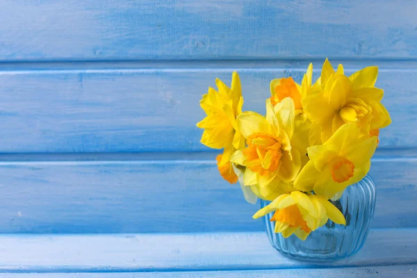 Background with fresh narcissus — Stock Photo, Image