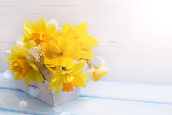 Achtergrond met verse narcissus in houten pot — Stockfoto