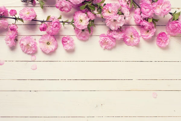 Pohlednice s čerstvými květinami — Stock fotografie
