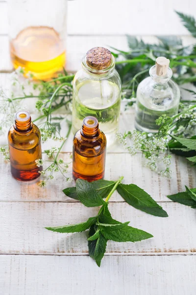 Flaskor med väsentliga aromaolja — Stockfoto