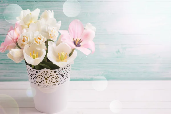 Tło z świeże kwiaty narcyzów i tulipan — Zdjęcie stockowe