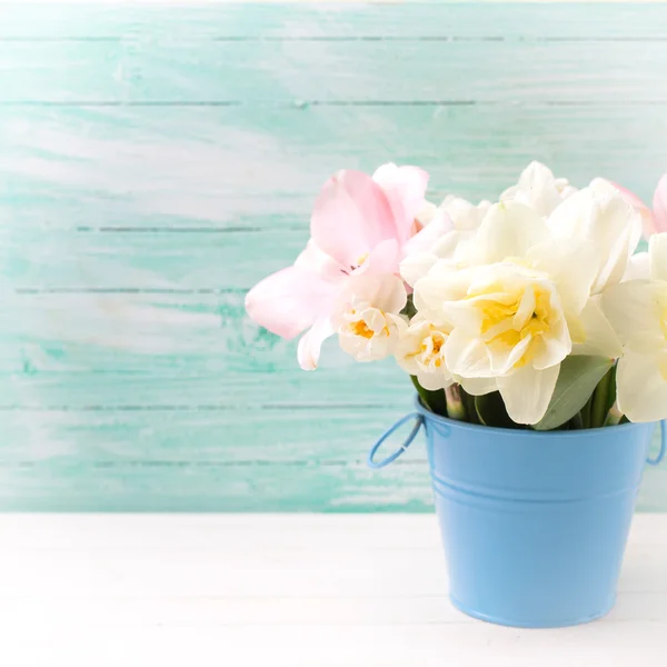 Fundo com narciso fresco e flores de tulipa — Fotografia de Stock