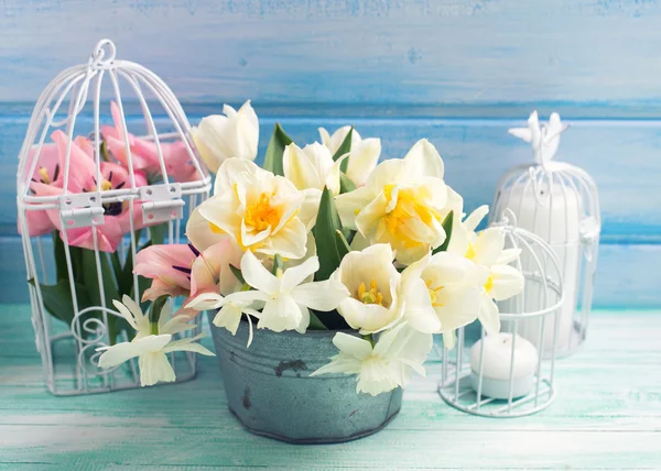 Fundo com narciso fresco e tulipas — Fotografia de Stock