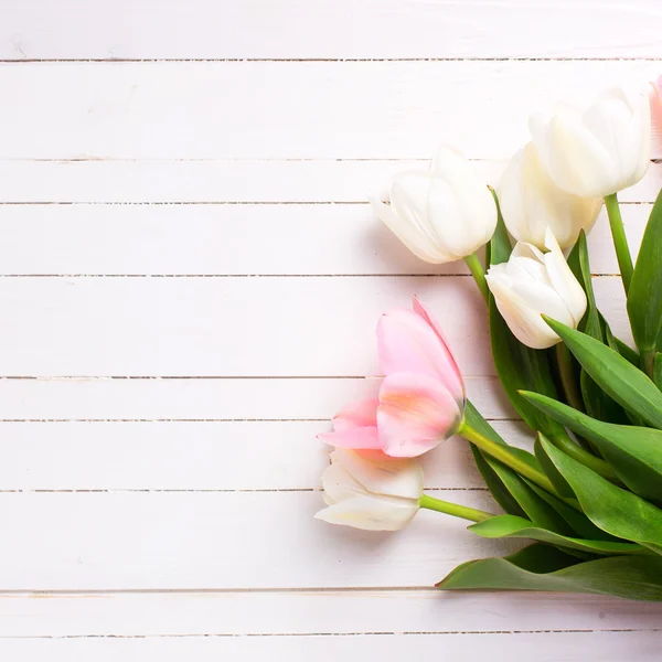 Fundo com flores de tulipa rosa e branca — Fotografia de Stock