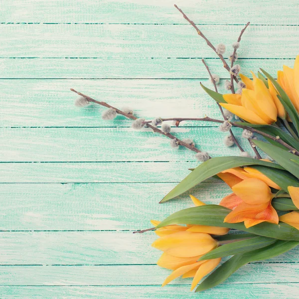 Pozadí s tulipány a willow květiny — Stock fotografie