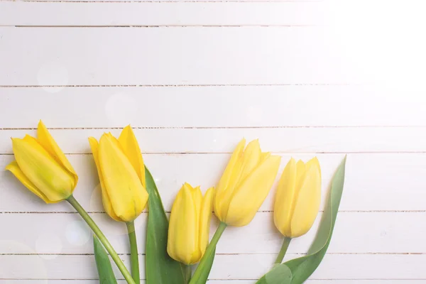 Background with bright  yellow tulips