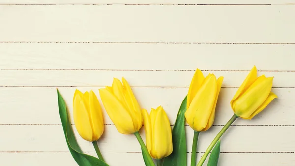 Tło z jasne żółte tulipany — Zdjęcie stockowe