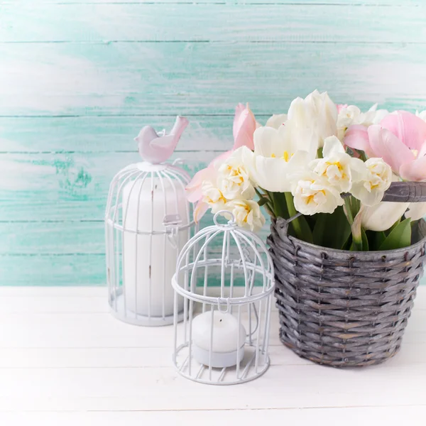 Bakgrunn med friske tulipanblomster – stockfoto