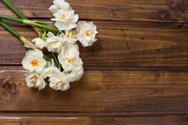 Arka plan ile taze nergis 