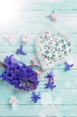 Hyacynths çiçek ve dekoratif kalp