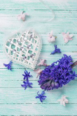 Hyacynths çiçek ve dekoratif kalp