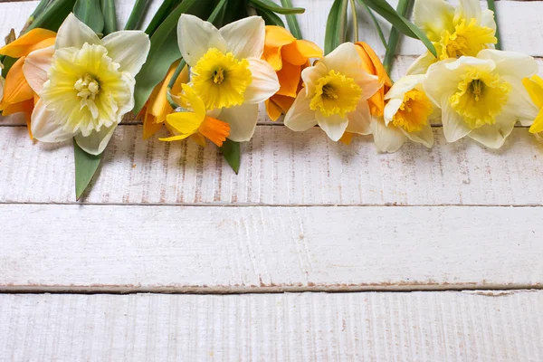 Bakgrund med färska tulpaner och narcisser — Stockfoto