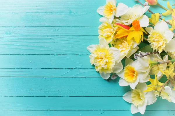 Färska vårblommor — Stockfoto