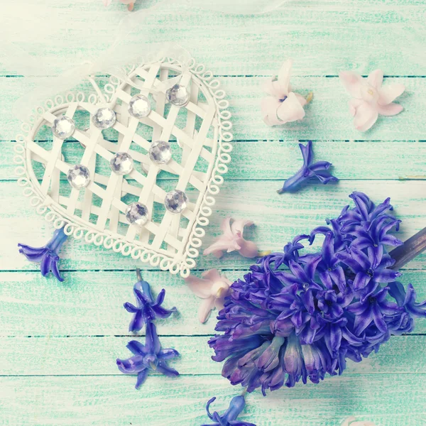 Hyacynths çiçek ve dekoratif kalp — Stok fotoğraf
