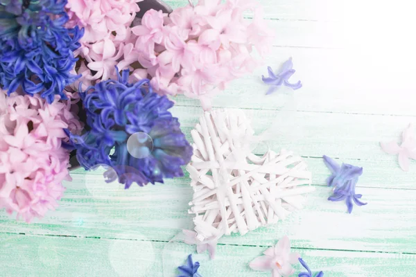 Bakgrund med färska blommor hyacinter och hjärta — Stockfoto