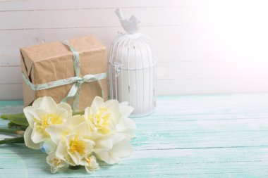 taze nergis çiçek ve hediye