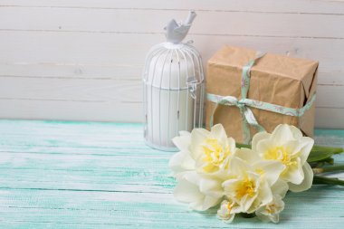 taze nergis çiçek ve hediye